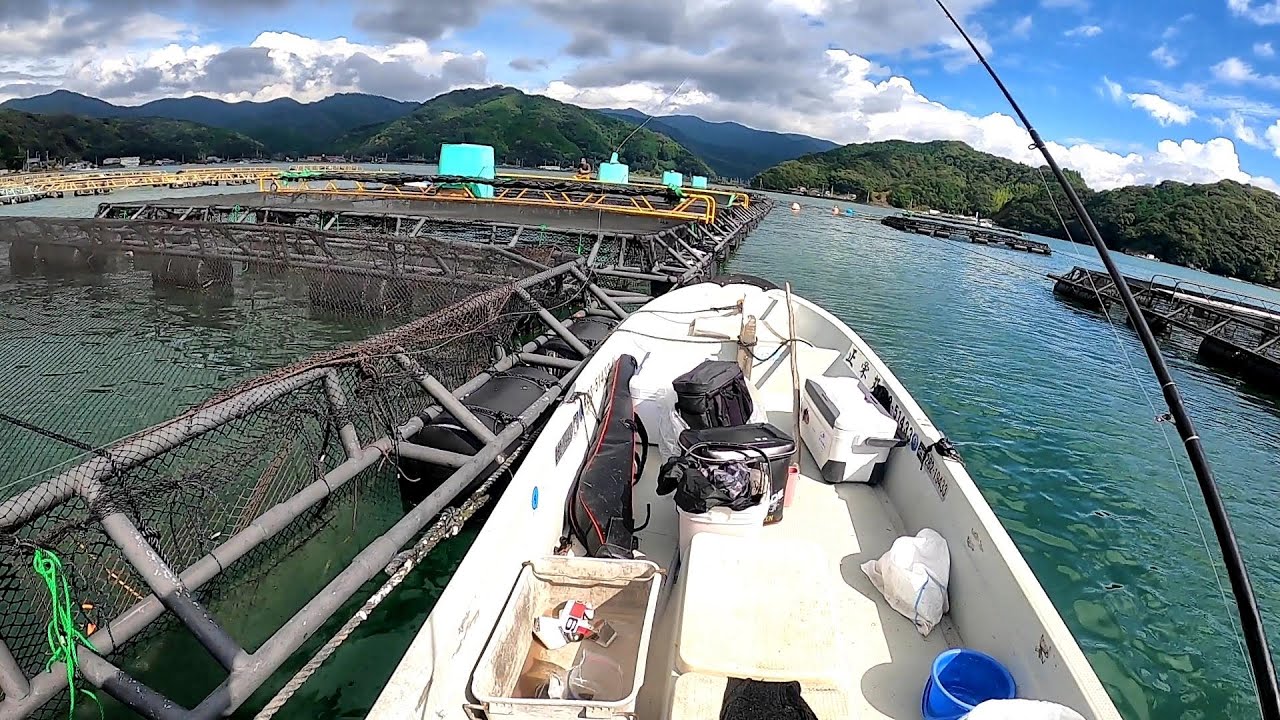 台風後に養殖イケス横で釣りしてみたら異常状態だった… 【夢のロクマル #6】