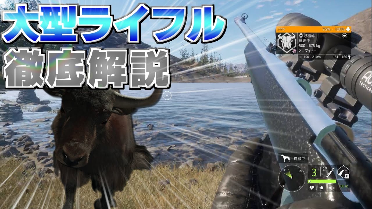クラス９用のライフル、ほぼ全部紹介します【the Hunter: Call of the Wild】