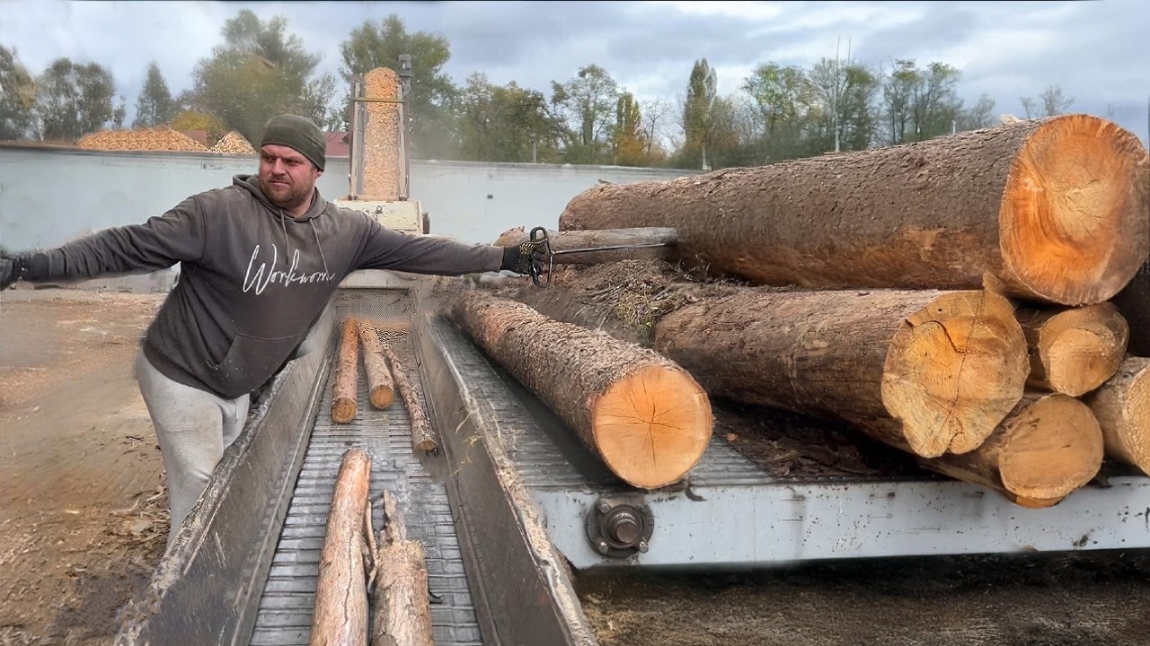 Giants on the Conveyor: How Tons of Timber Are Transformed into Fine Chips! 🌲⚙️