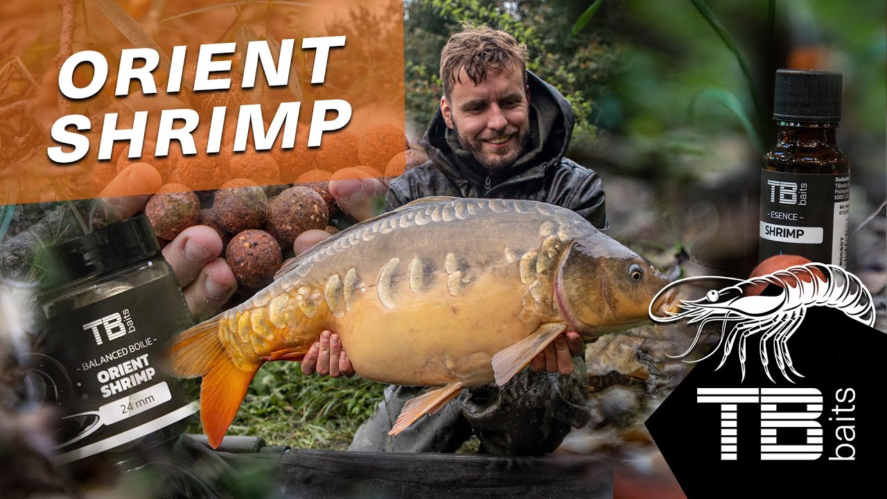 ORIENT SHRIMP na řece/TB baits/Vojta Novotný