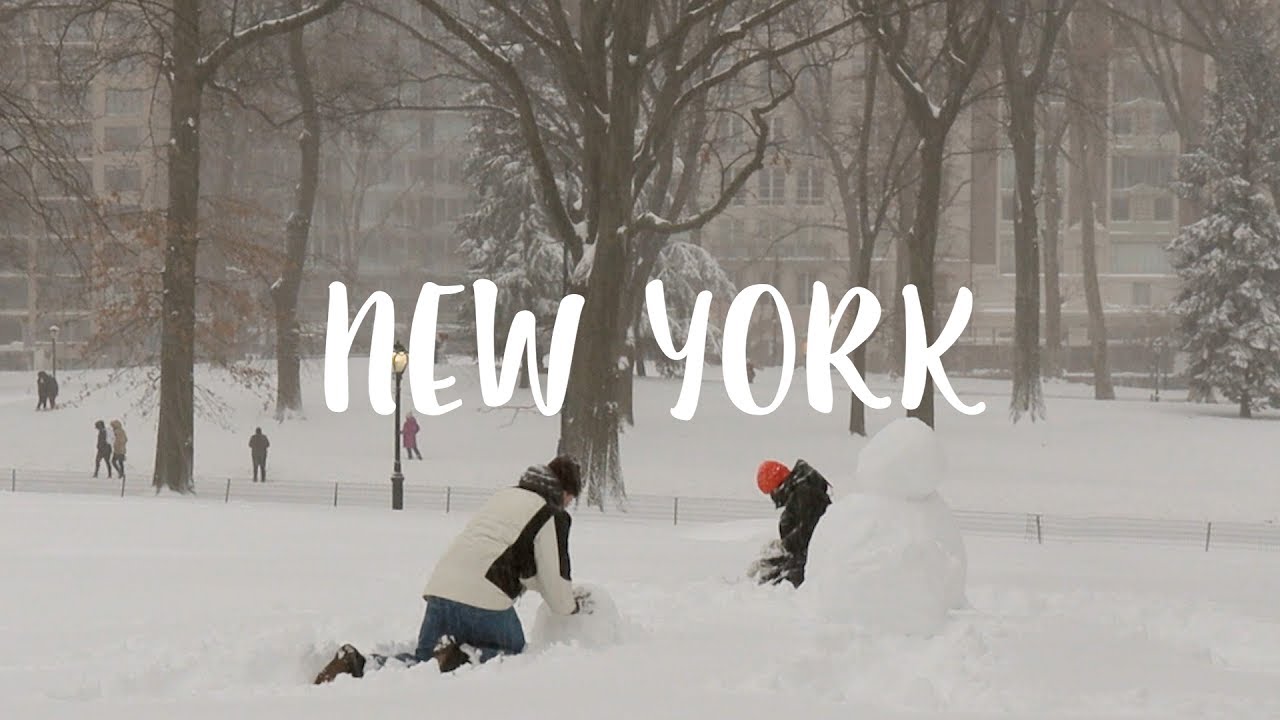 Living in New York VLOG / Snow Storm in NY, Central Park, French Comfort Food, A Day In My Life