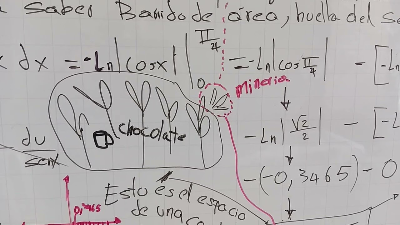 Inteligencia artificial y problemas integrales. 