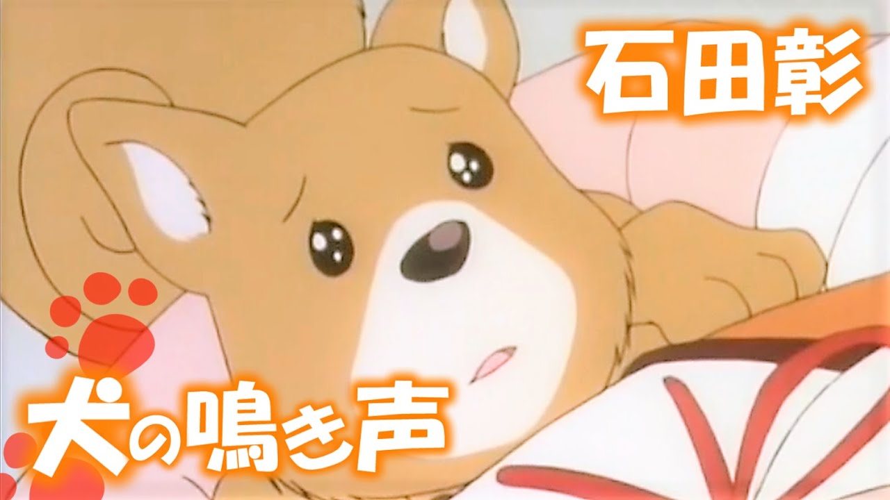 【石田彰】アスランは僕の演じたキャラで３１位、ちなみに３０位は犬です