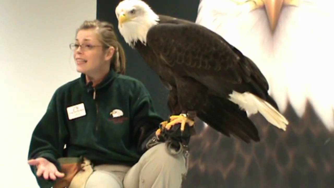 Alaska Raptor Center