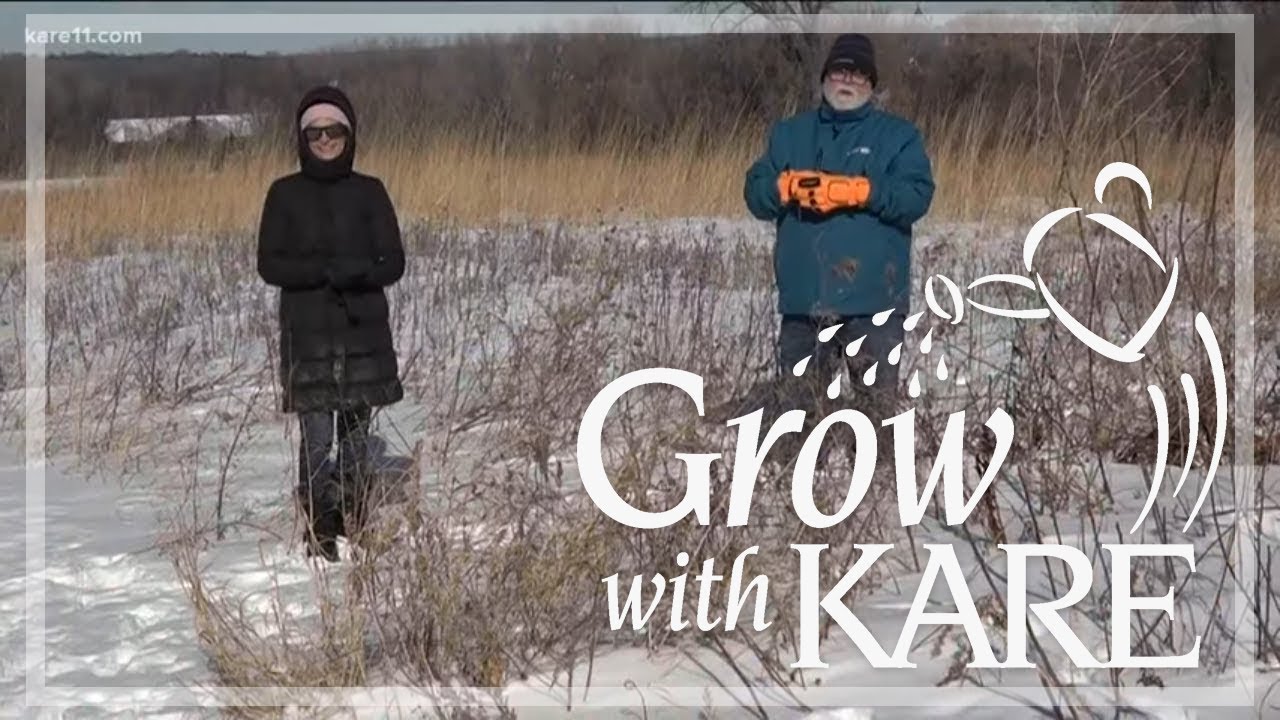 Grow with KARE: Winter on the prairie