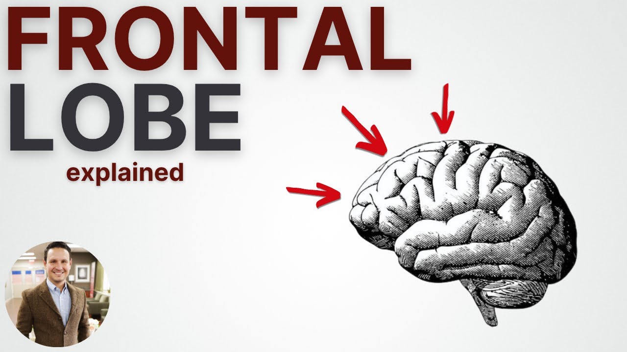 Frontal Lobe Seizures and Damage