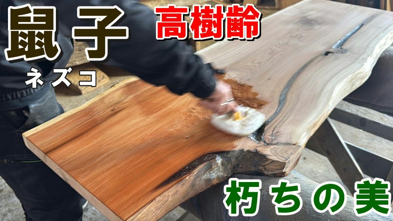 【心を掴む木目】高樹齢ネズコ一枚板をオイル仕上げ｜朽ちが美しい国産レッドシダー