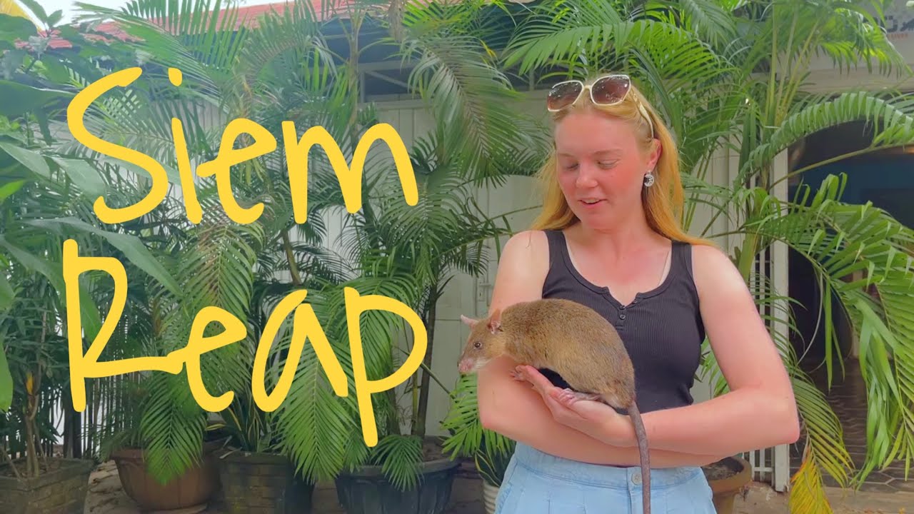 Visiting the Landmine Sniffing Rats of Siem Reap, Cambodia 🇰🇭