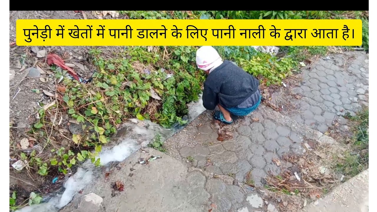 मैने आज पहली बार देखा 🙄 किस किस के वहा एसे पानी आता है।
