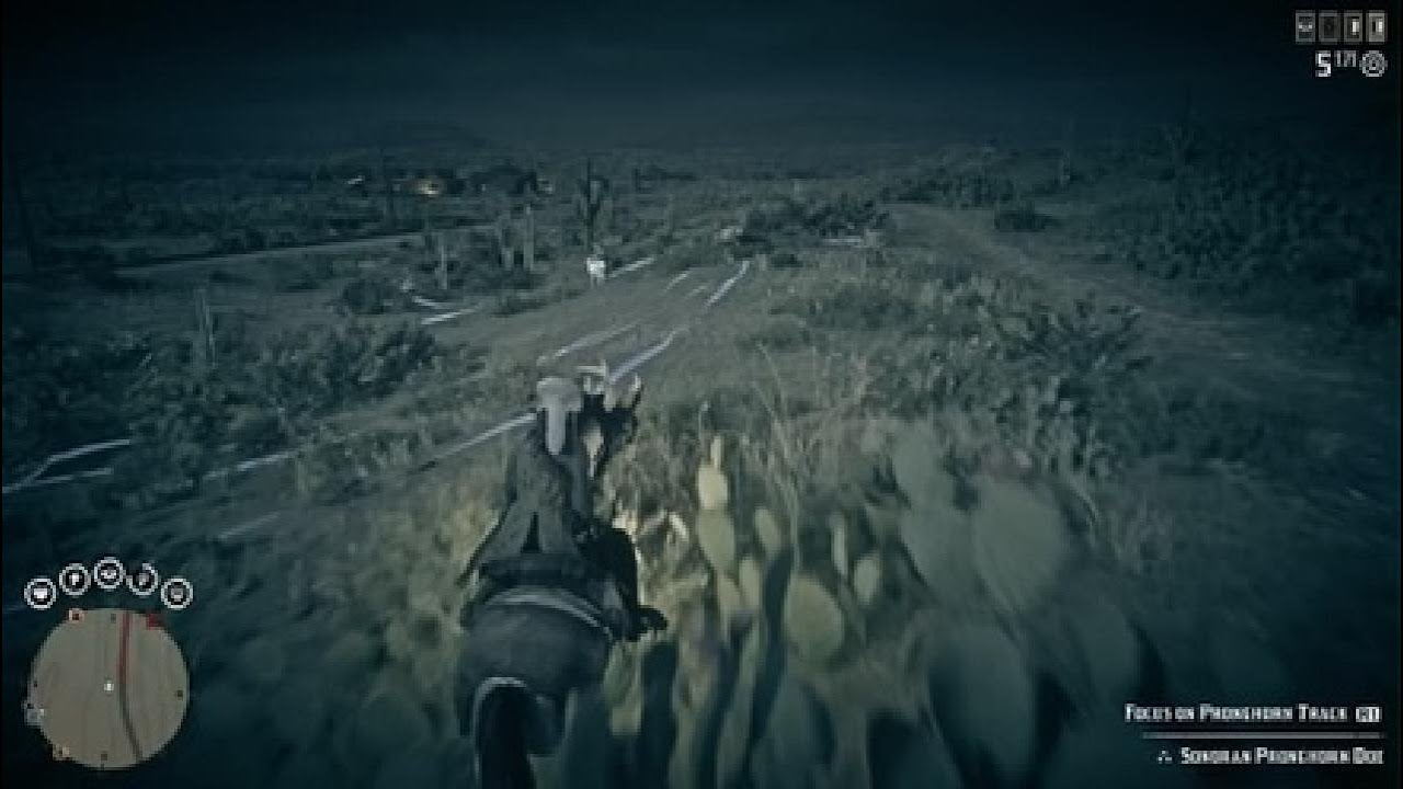 Red Dead Redemption 2_20260224024926