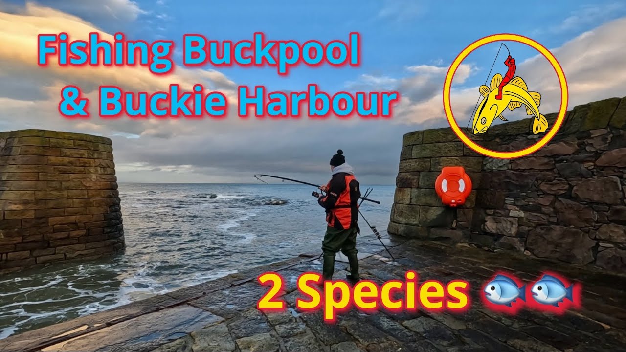 Рыбалка в Бакпуле и Бакки-Харборе: FISHnTHINGS: Рыбалка в Шотландии 🎣