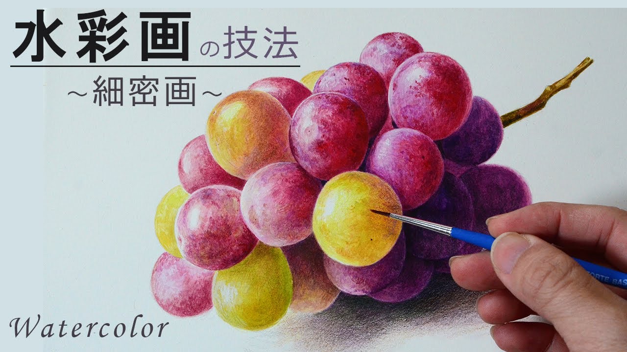 【水彩画】葡萄のリアルな描き方「透明水彩、色鉛筆」/how to draw watercolor