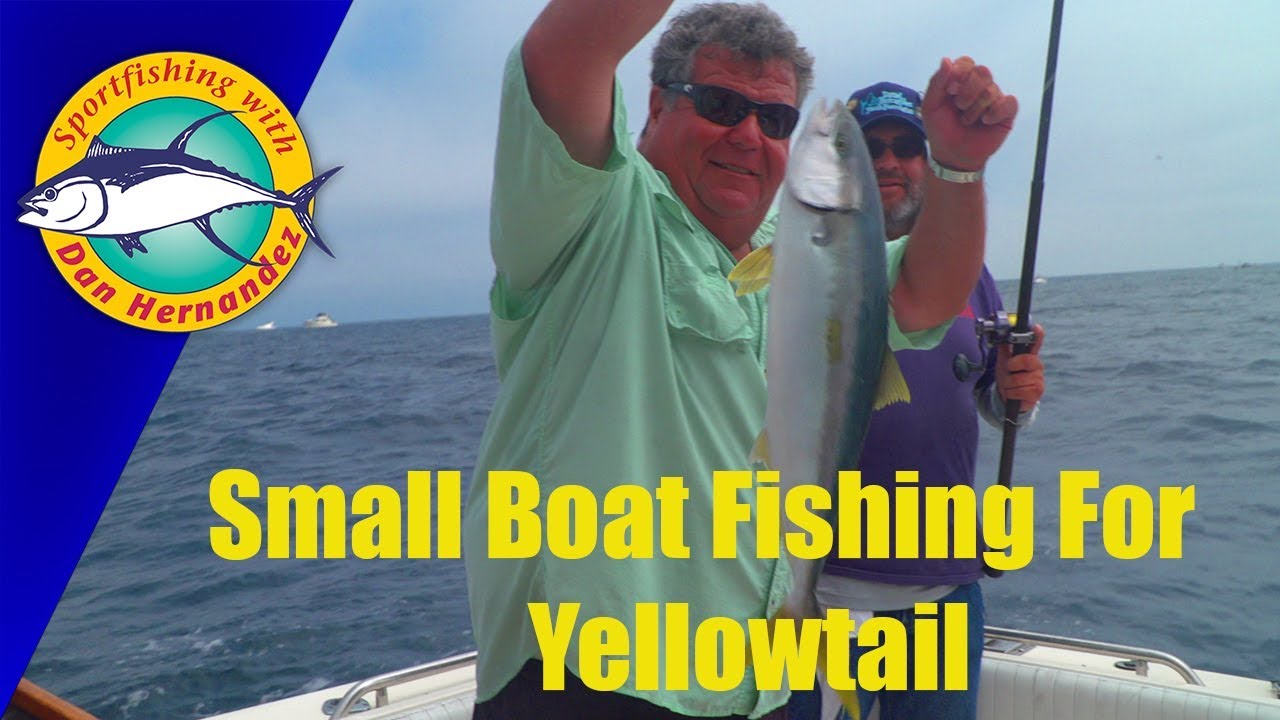 Yellowtail Fishing on Dan Hernandez Private Charter  | SPORT FISHING
