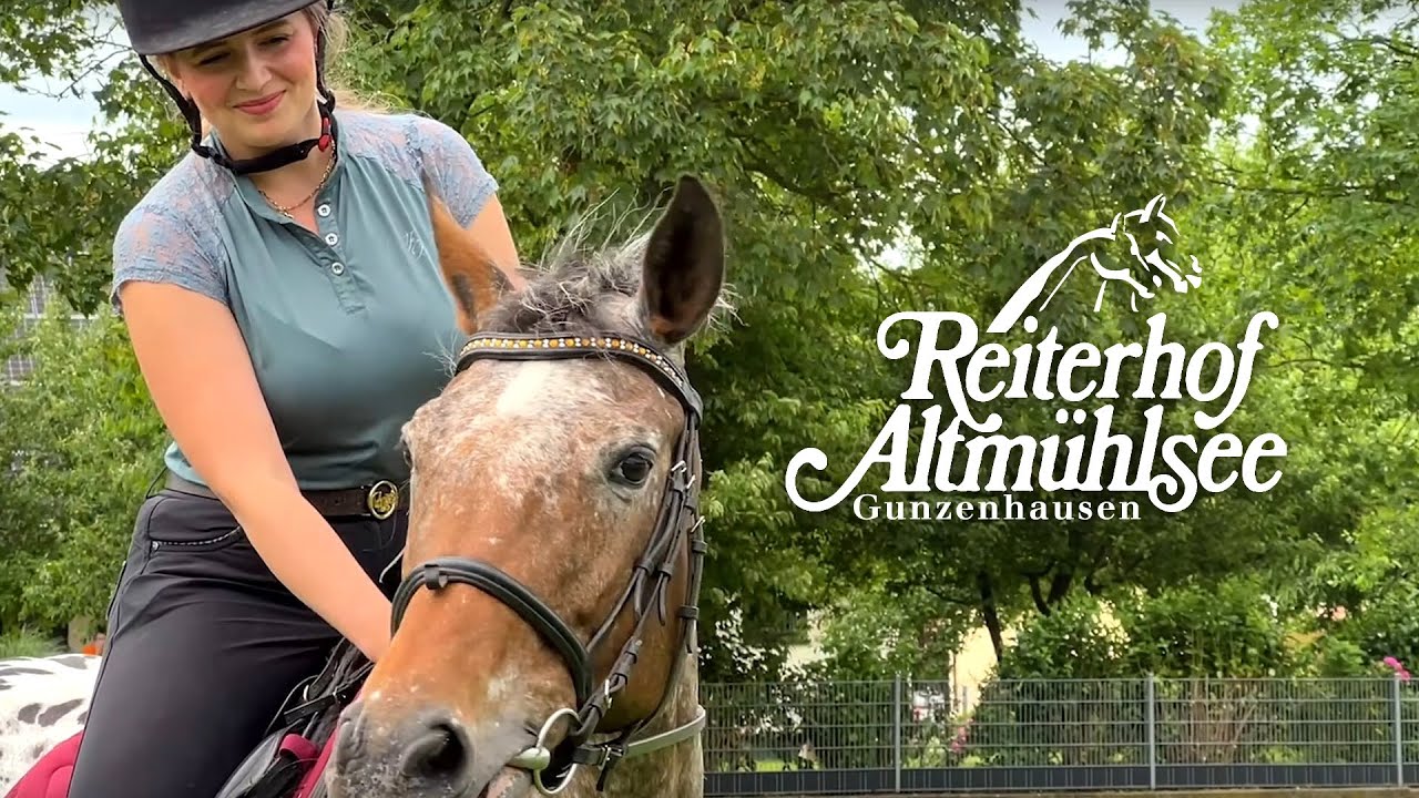 Familienurlaub auf dem Reiterhof Altmühlsee | Reiten, Natur & fränkische Spezialitäten