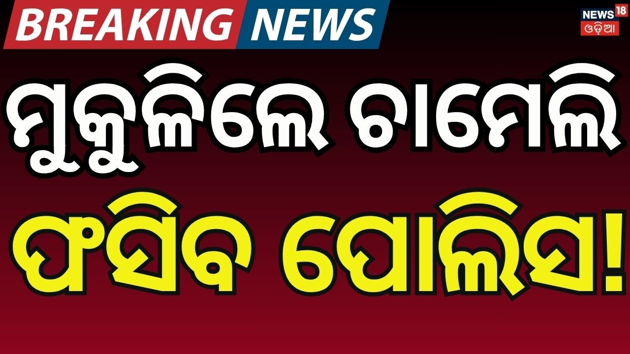ମୁକୁଳିଲେ ଚାମେଲି ଫସିବ...Chameli Ojha Granted Bail by Kendrapara SDJM Court | Sarapanch | Odia News