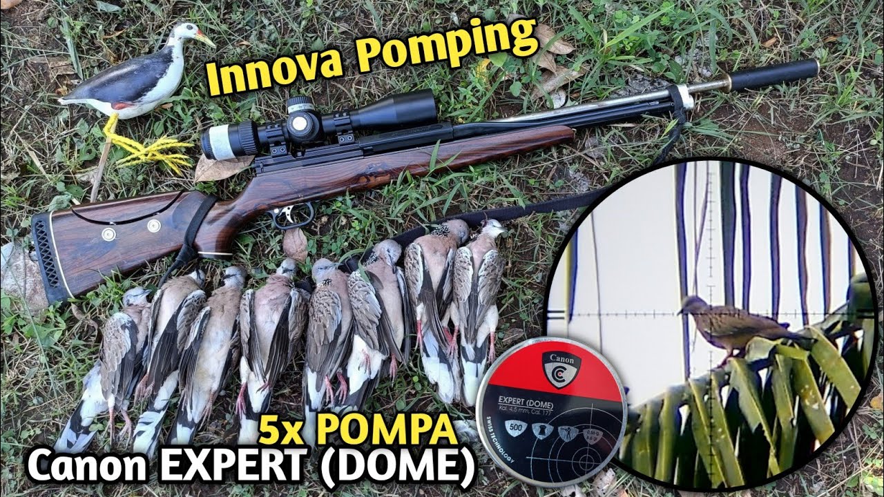ASLI MANTAP‼️ Berburu pakai mimis Canon expert dome bareng Sharp Innova Pomping