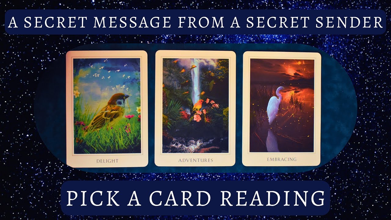 A Secret Message from a Secret Sender 📬 Pick a Card Reading