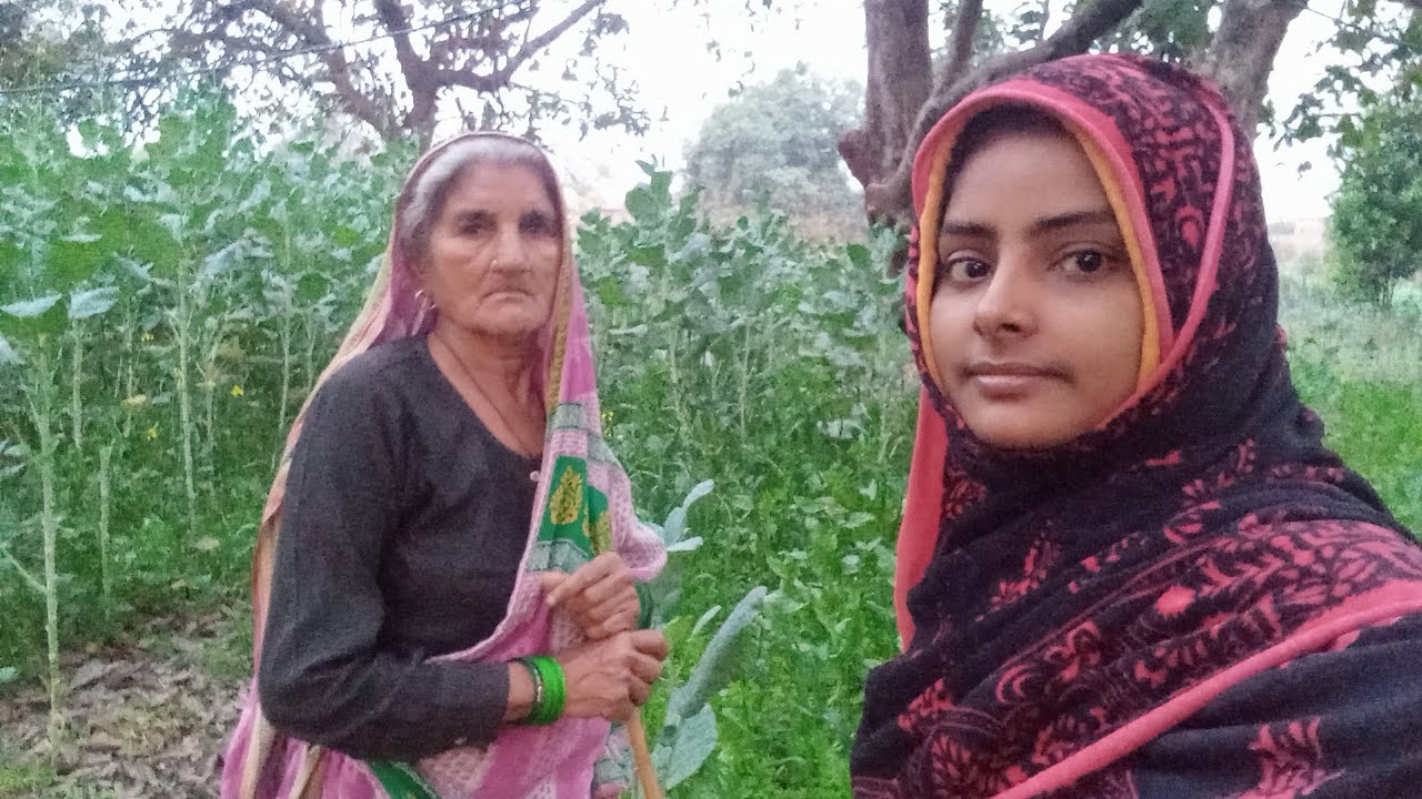 खेत जाकर काम किया 🤩 ||