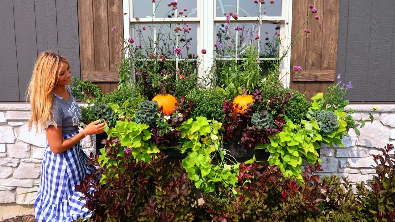 Осенний сад, медленный переход | Вам ещё не пора прощаться | Mums&Pumpkins | Видеоблог Garden Farm