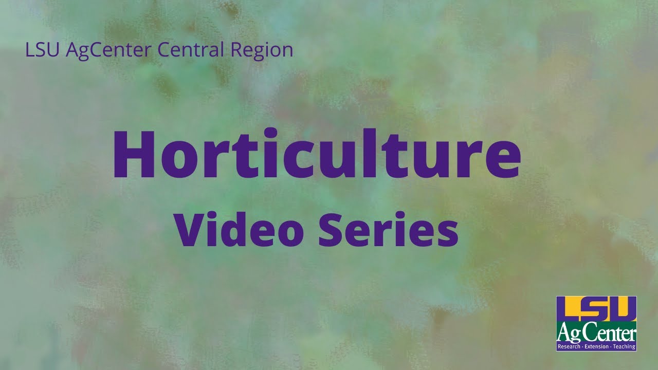 Pecan Orchard Establishment