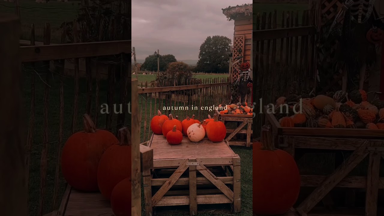 Autumn in England 🍂 cosy autumn moments in the UK 🍁 