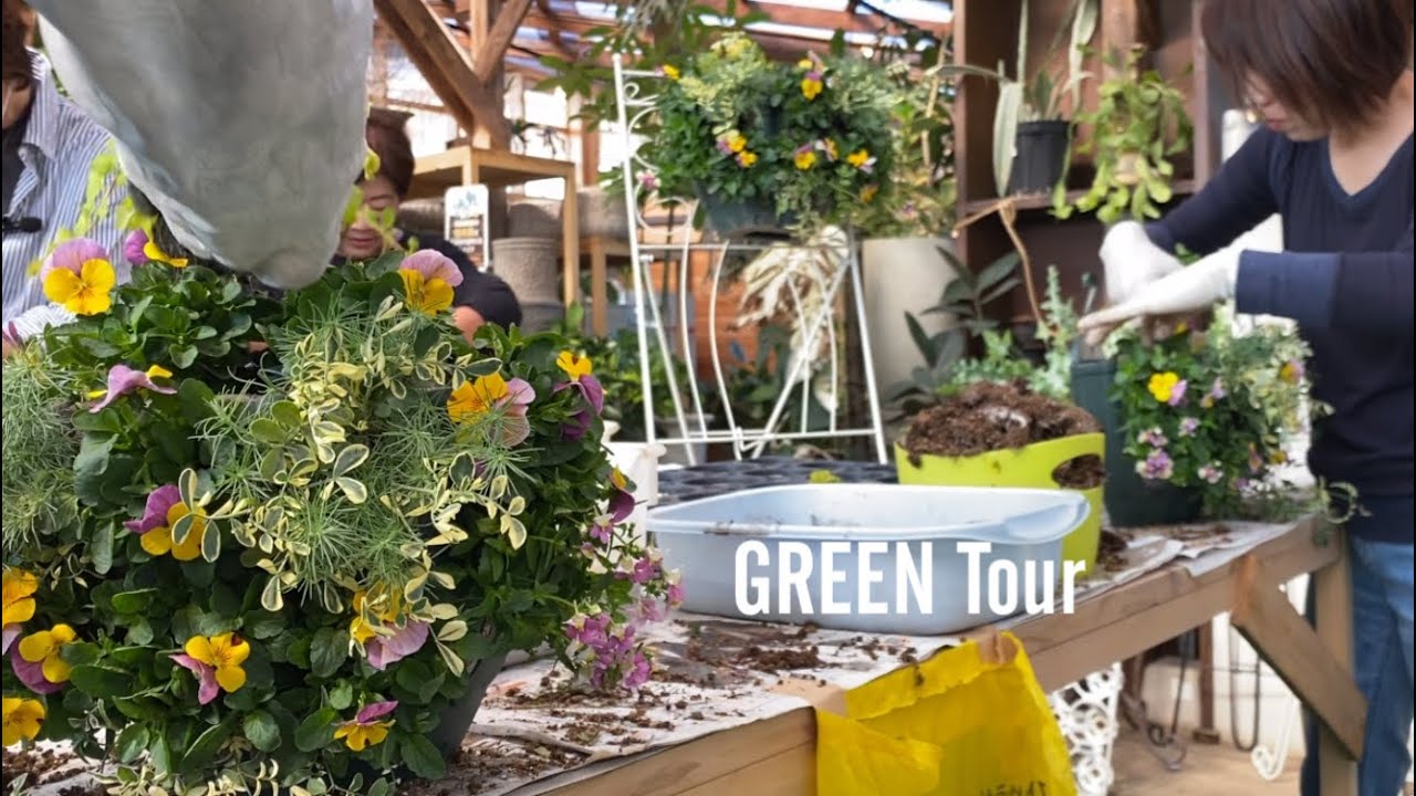 寄せ植え人気店ならではのコツに目から鱗！根を痛めない崩し植え方でモリモリまん丸なビオラハンギングバスケットは作れる！初心者でも失敗なし教室に密着！| 金久|  観葉植物/園芸店巡り | 大阪/日根野