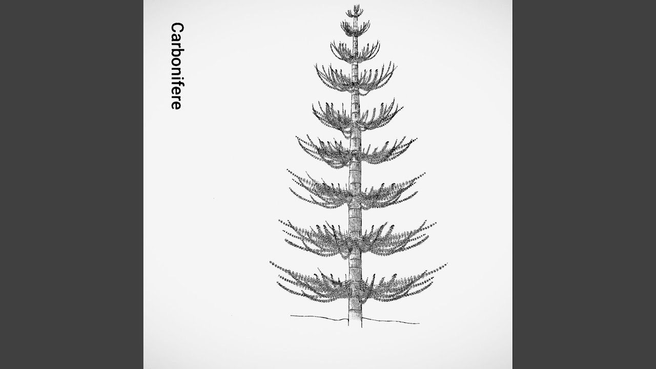 Kalamity (wersja oryginalna)