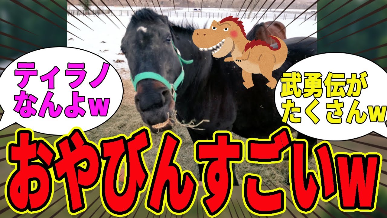 【親分】伝説を残す富菜牧場のクーヴェルチュールwに対する反応集【競馬の反応集】