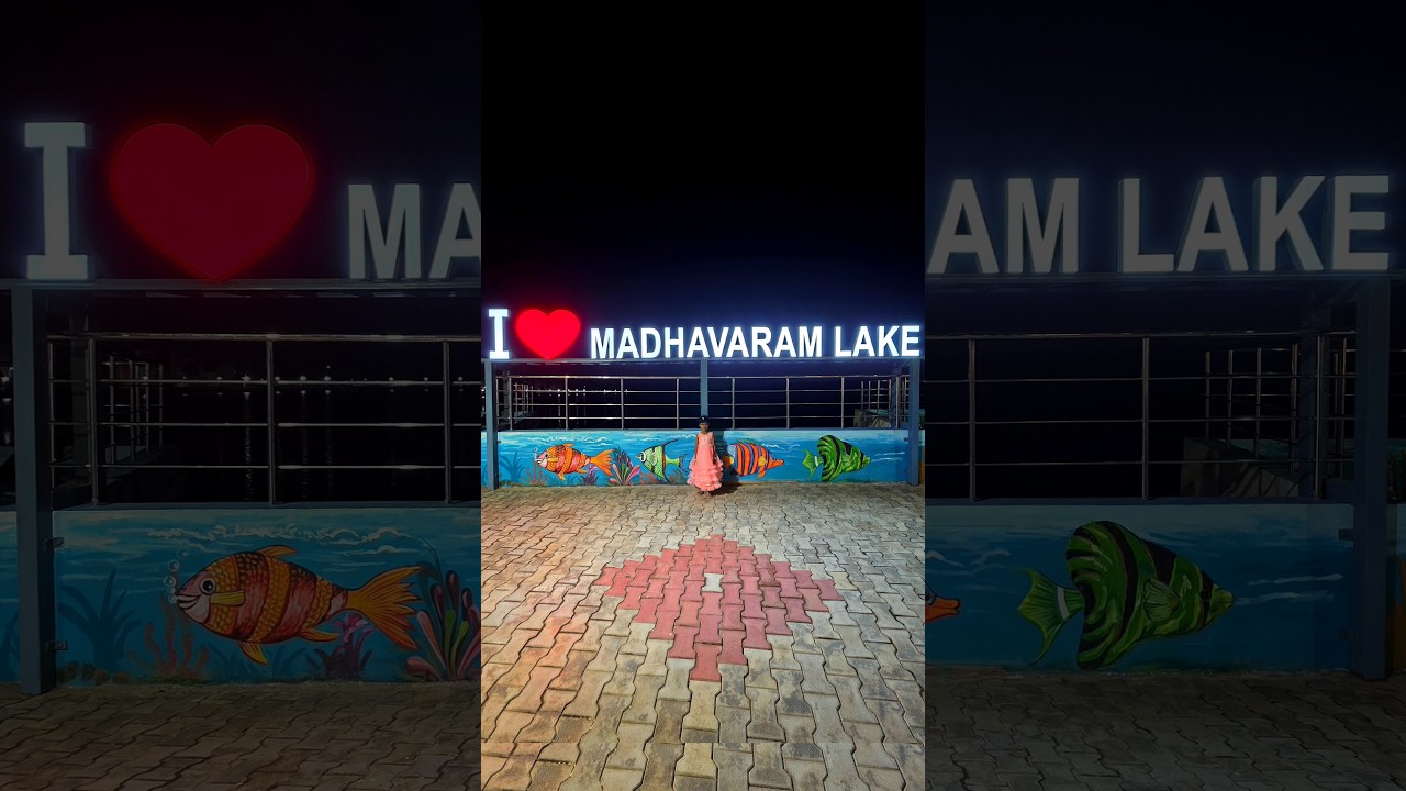 North Chennai-ல இப்படி ஒரு இடமா? 😍  #shortsfeed #ytshorts #chennai #lake