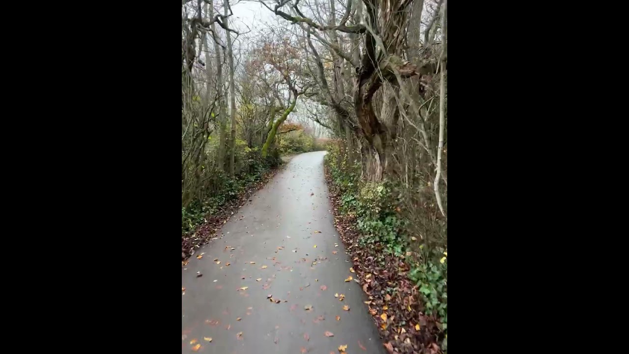 End of Beacon Hill Park to Mile One - Victoria, B.C.