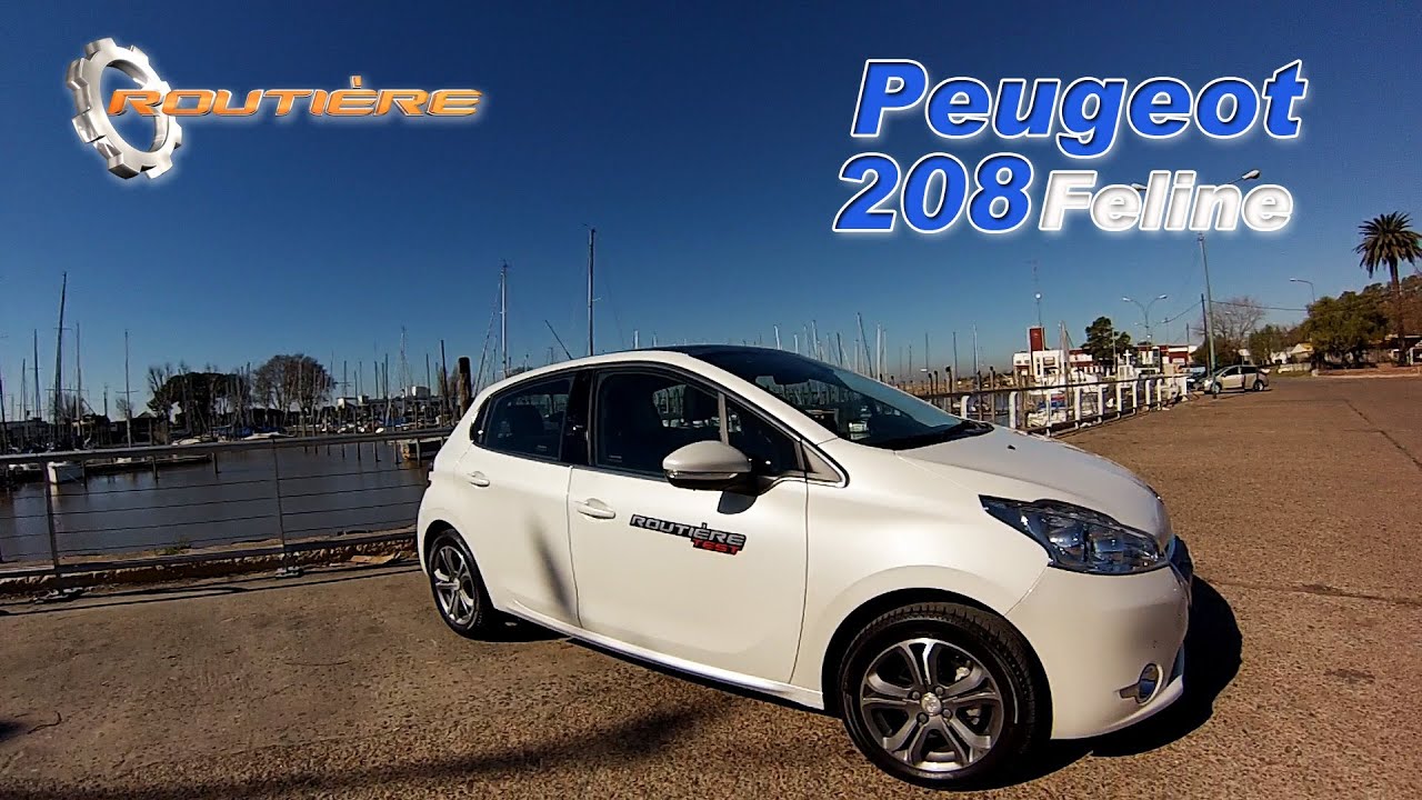 Peugeot 208 Feline Test - Routière - Pgm 233