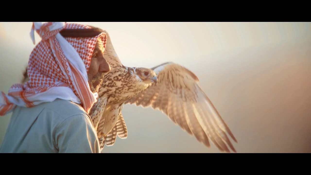 OPENING SEQUENCE FALCON FESTIVAL  2017
