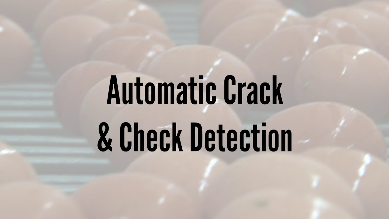Egg Sanitation: Egg Quality Detection Systems