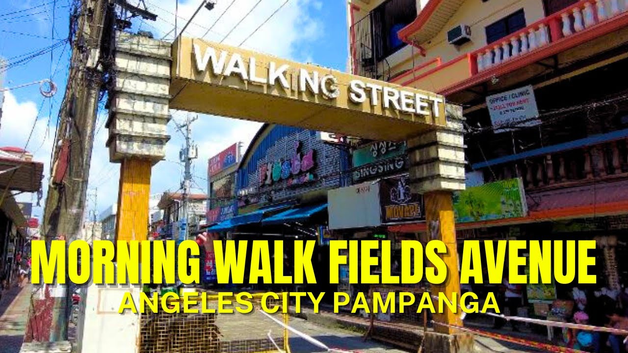 FIELDS AVENUE | MORNING WALK | WHEN IM BORED I WALK