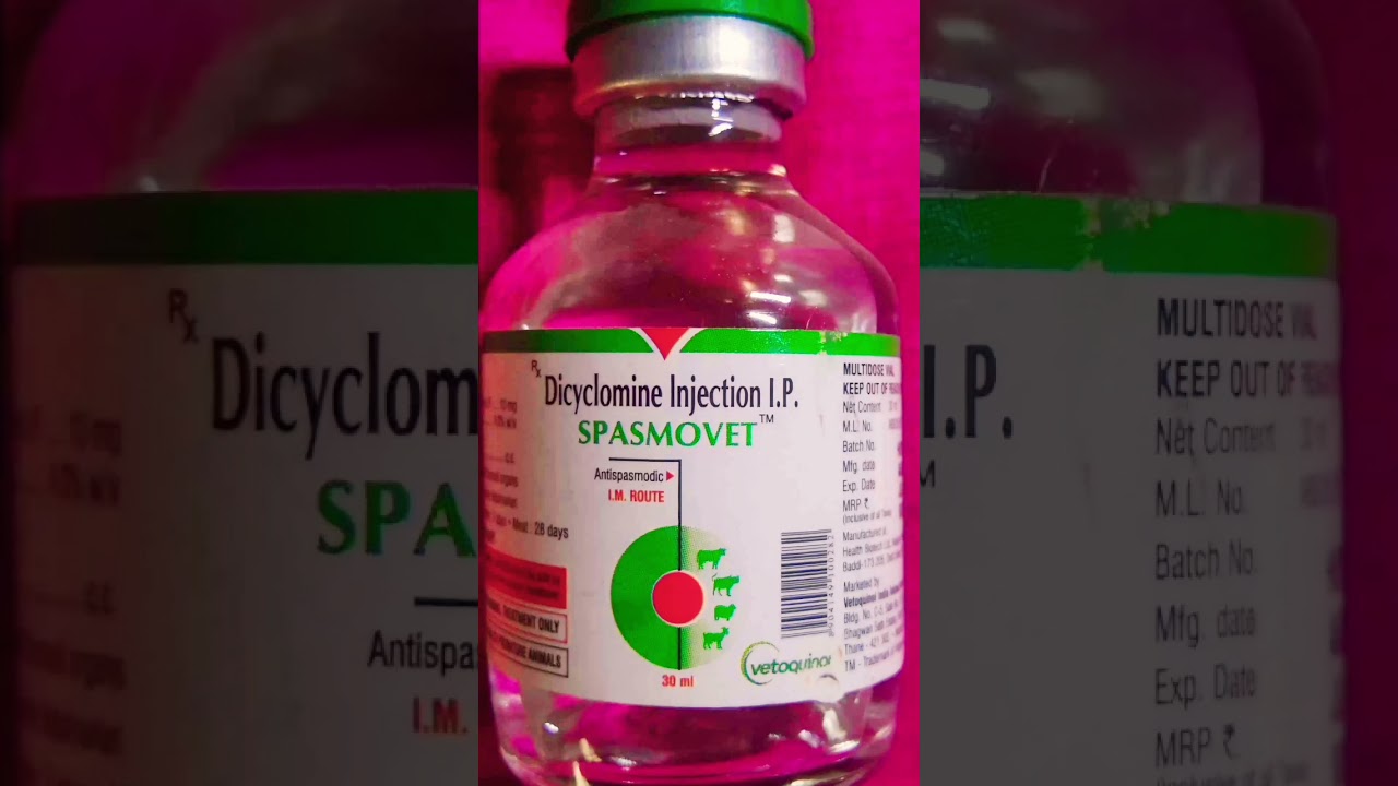 Spasmovet Injection Use #dicyclomineinjection #spasmovet #shorts