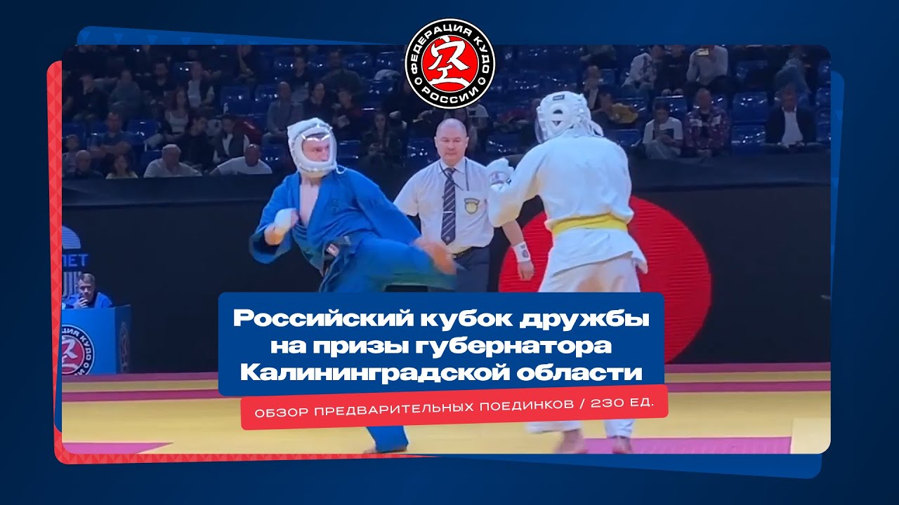 Кубок Дружбы по кудо 2023 г. Обзор предварительных поединков в категории 230 ед.