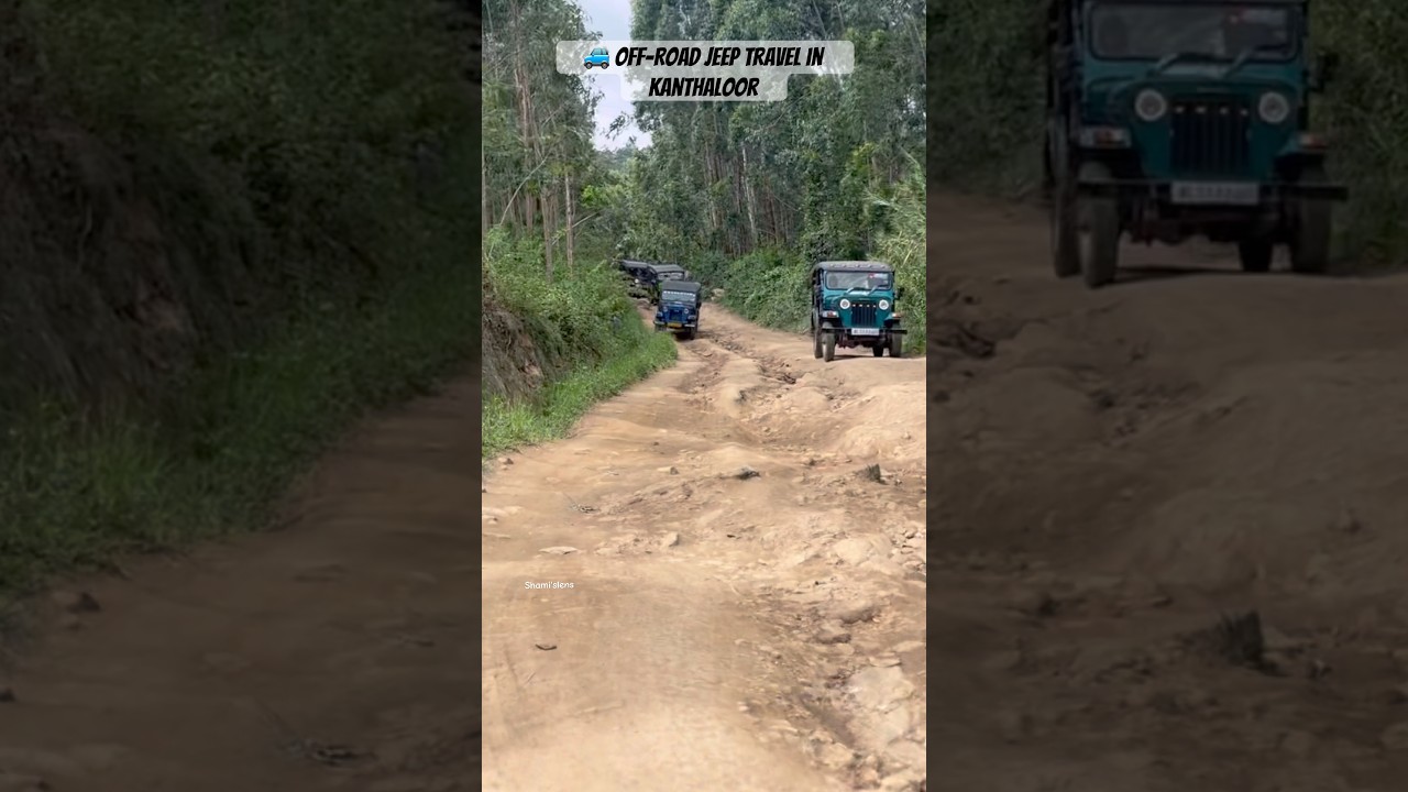 OFF-Road Vibes