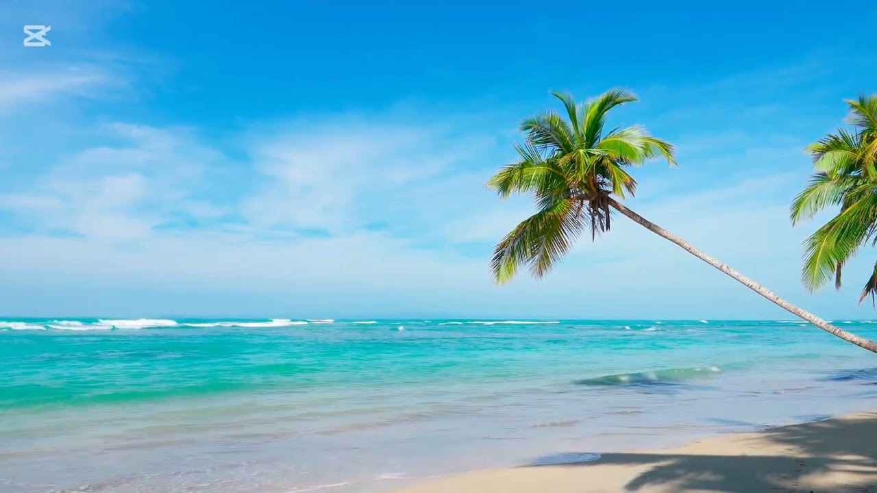 Koe haua au ( kalapu ae kau haua)