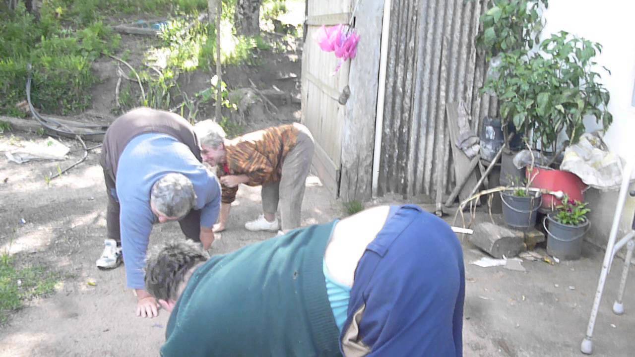 Quadrupedes Canguçu