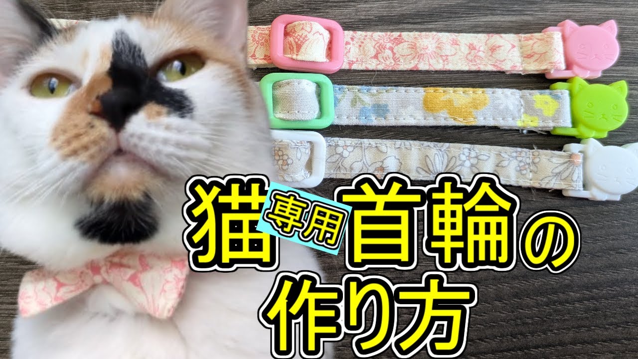 注意！【猫専用】犬には使えない首輪の作り方＃首輪