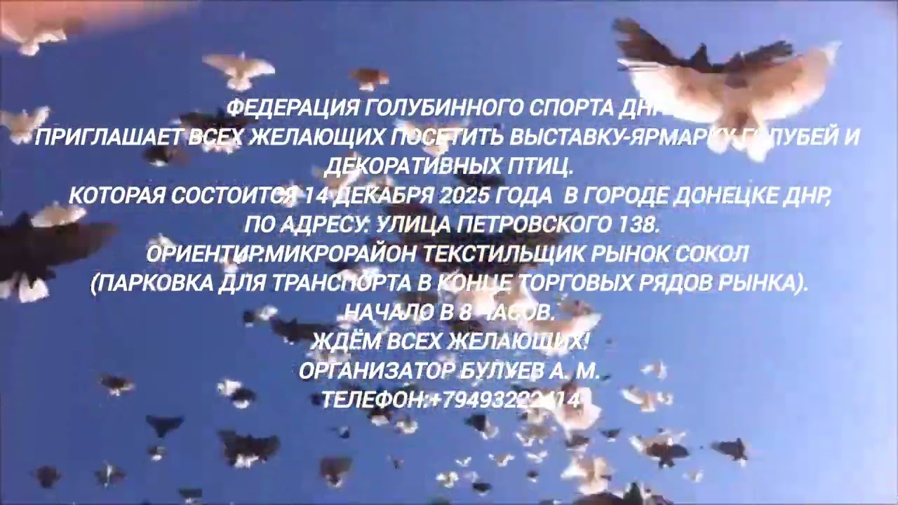 Объявление Выставка 14.12.25 Голубей в Донецке ДНР на Текстиле (Сокол)