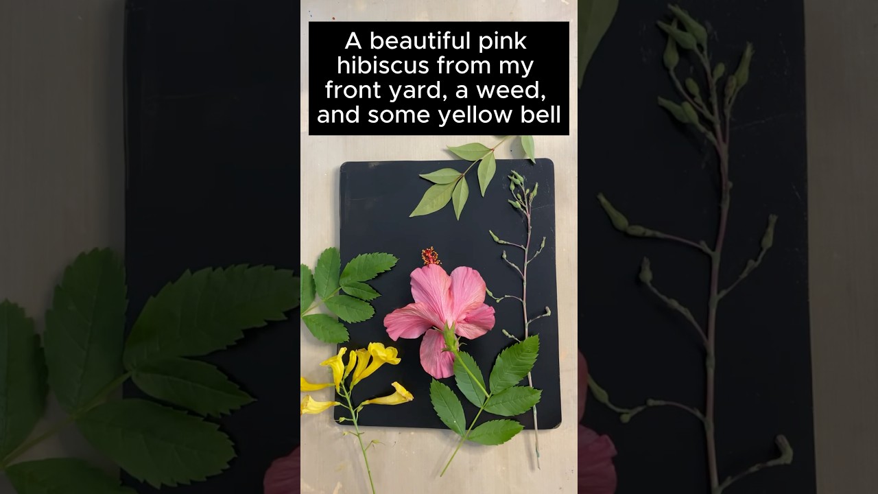 Gelli Print Hibiscus #gelliplateprinting #art #gelprinting #gelliprinting #gelliprintingtechniques