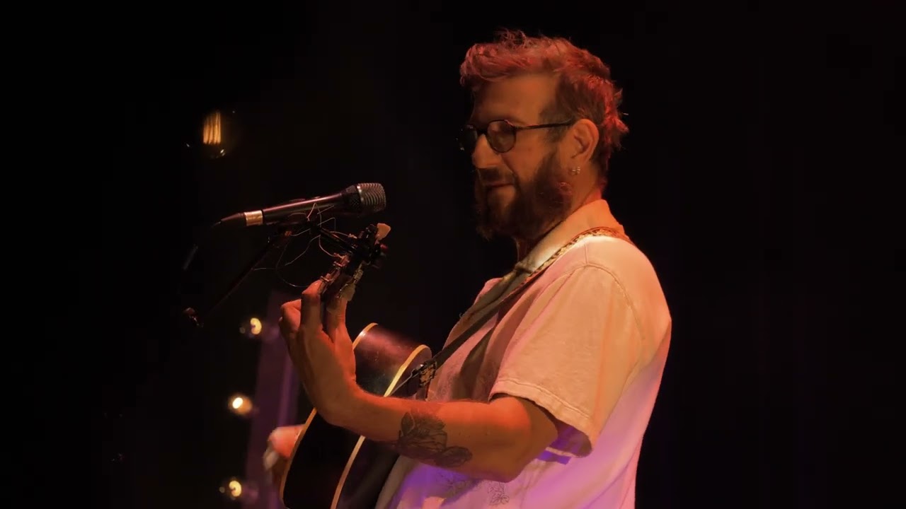 Bison Phare en Pillow Concert