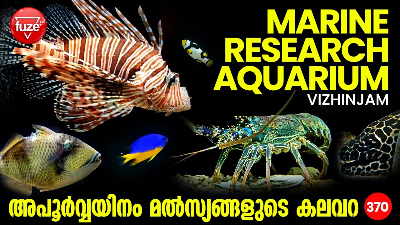 Sagarika Marine Research Aquarium | Vizhinjam | അപൂർവ്വയിനം മൽസ്യങ്ങളുടെ കലവറ | FuzeHD