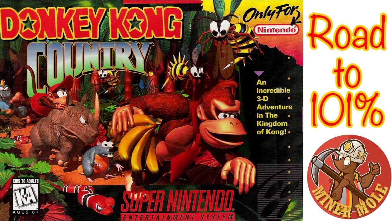 Donkey Kong Country: Road to 101%