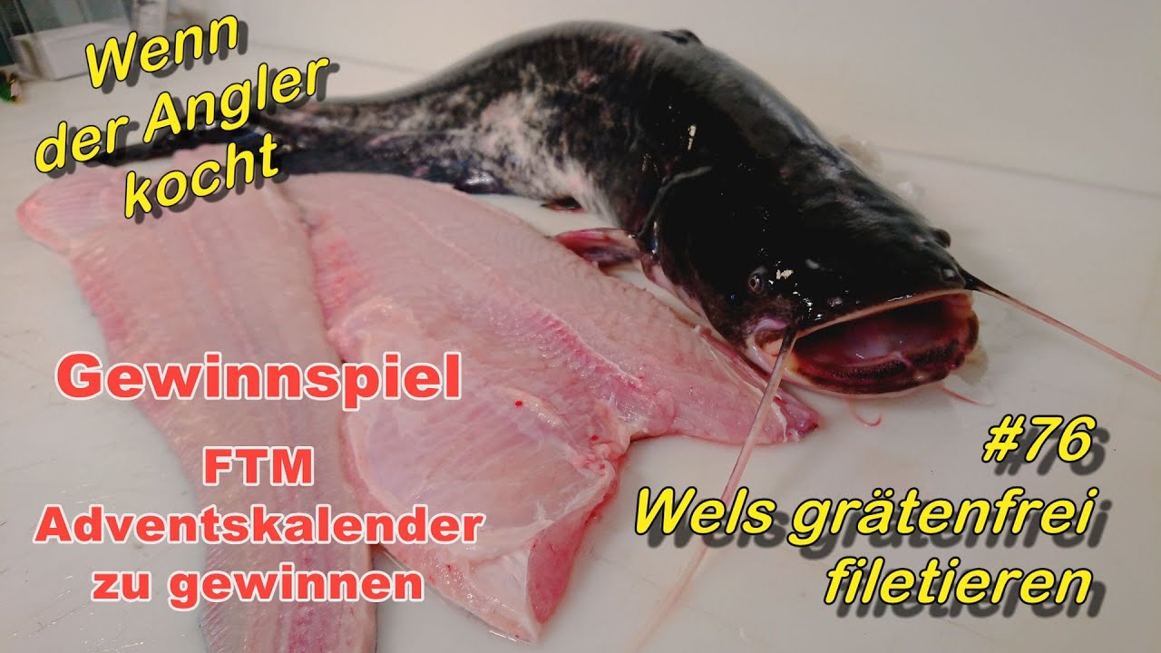 #76 Wels (Waller) grätenfrei filetieren #Welsangeln