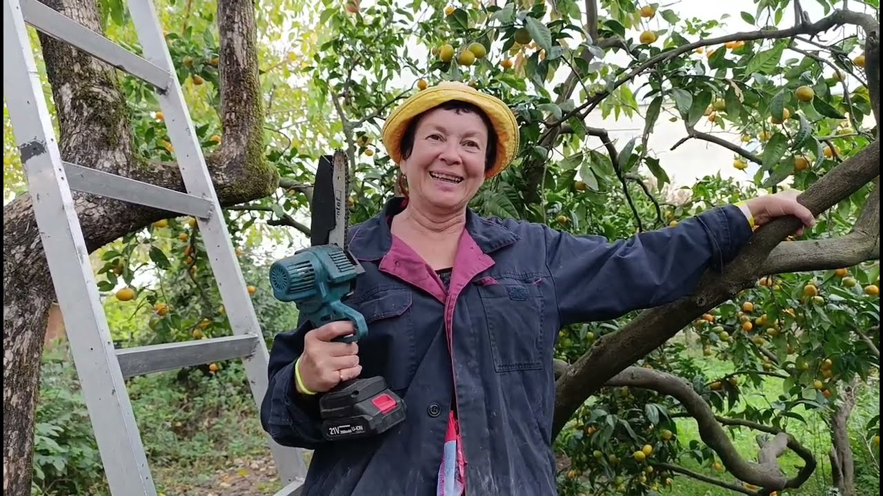 24) На зиму в Абхазию -4. Как мы спасали хурму