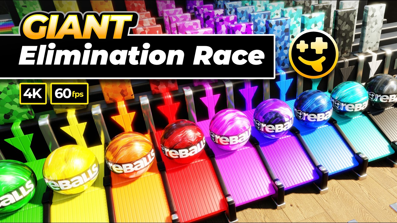 *GIANT* Marble Race  | 