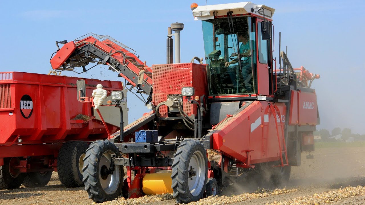 Loading onions with a custom shortened Amac ZM2