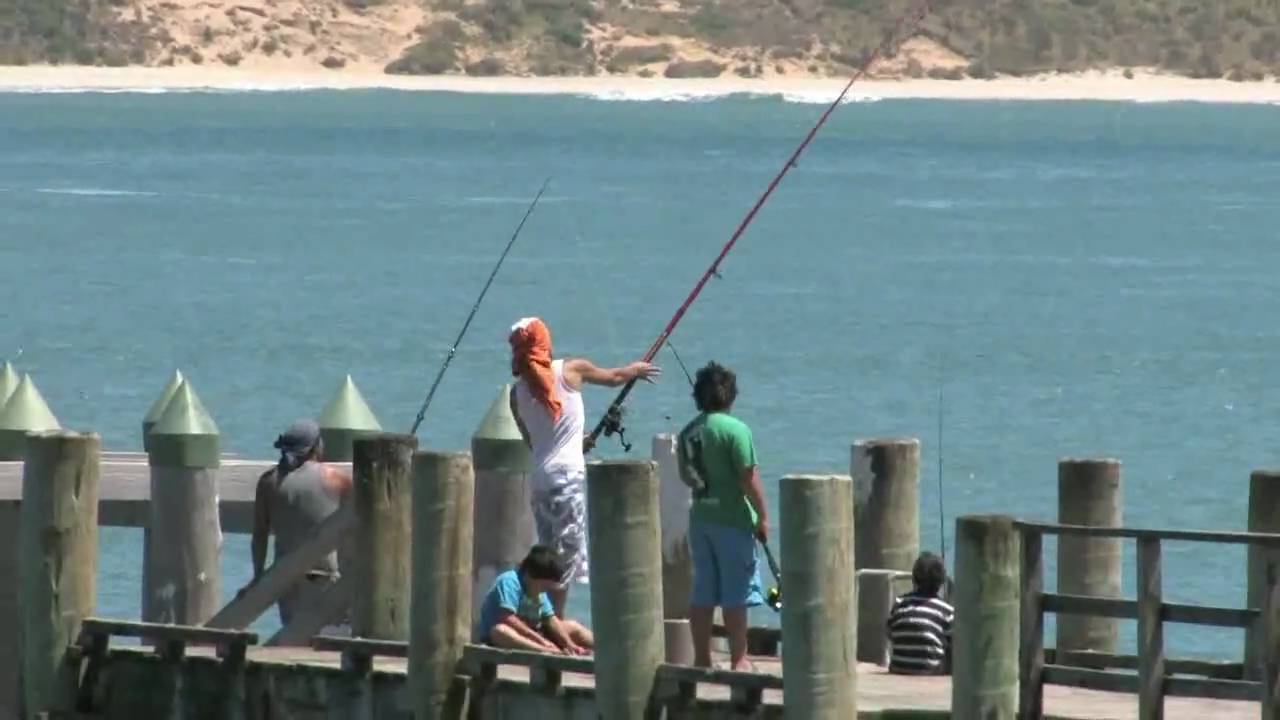 Experience Hokianga     Northland